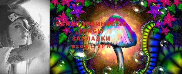 прущие крисы Куйбышев