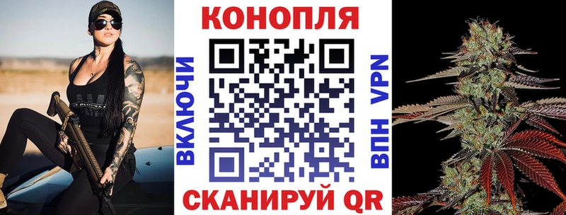 Конопля конопля  цены наркотик  Лодейное Поле 